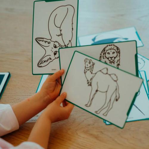 Bloco de desenho c/ Ilustrações Animais Selvagens