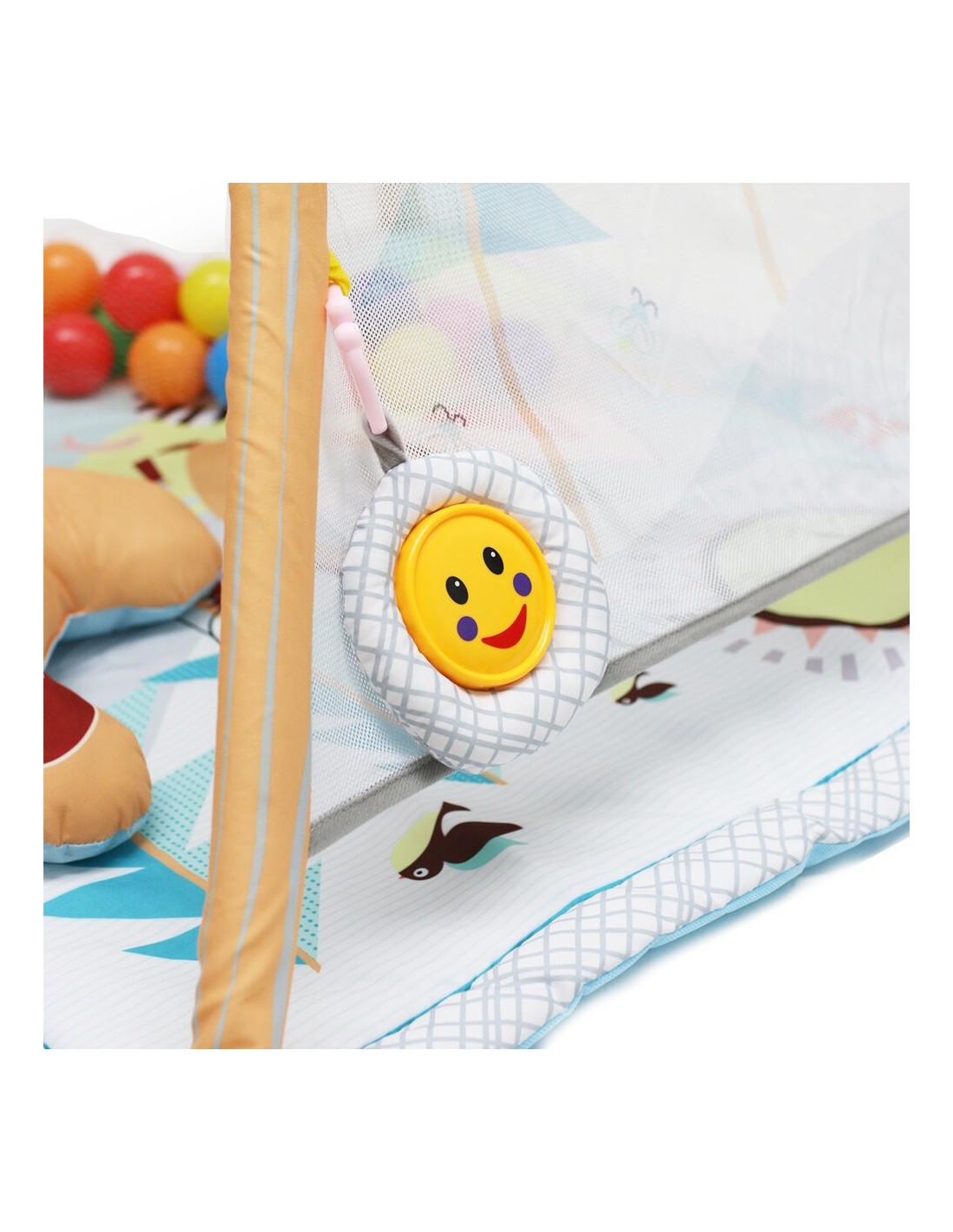 Gimnasio de Atividades Tipys Plastimyr