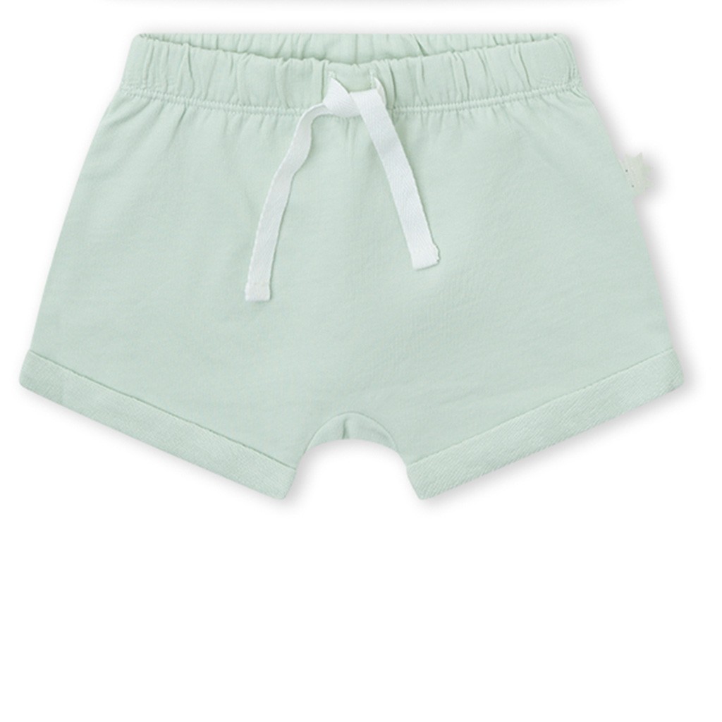 Conjunto 2 pcs dino multicolor