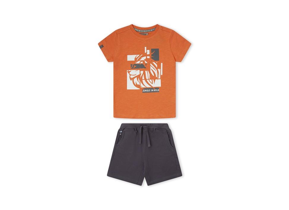 Conjunto 2 pcs jungle in wild
