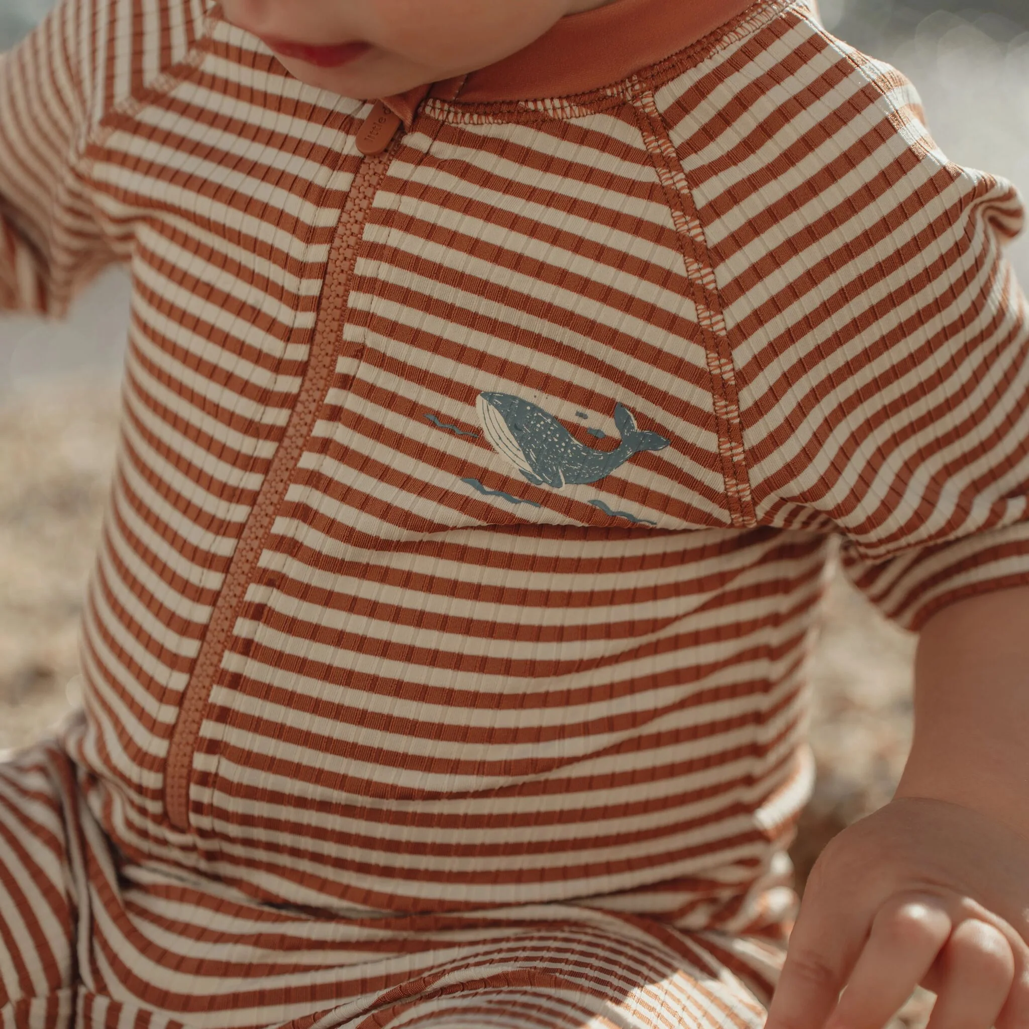 Fato de banho de manga curta -  Listras castanhas oceânicas