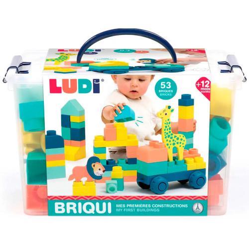 Briqui – Veículo c/ Blocos de Construção