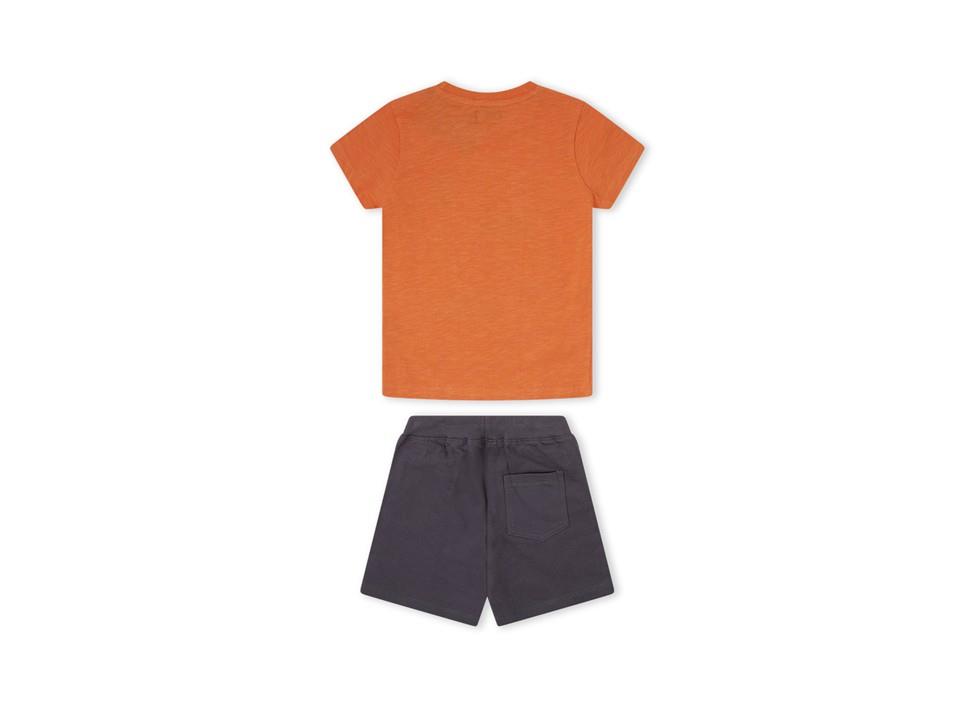Conjunto 2 pcs jungle in wild